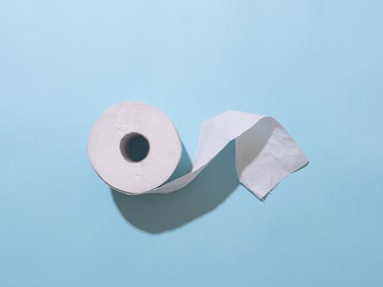 Are Toilet Paper and Paper Towels Sustainable?